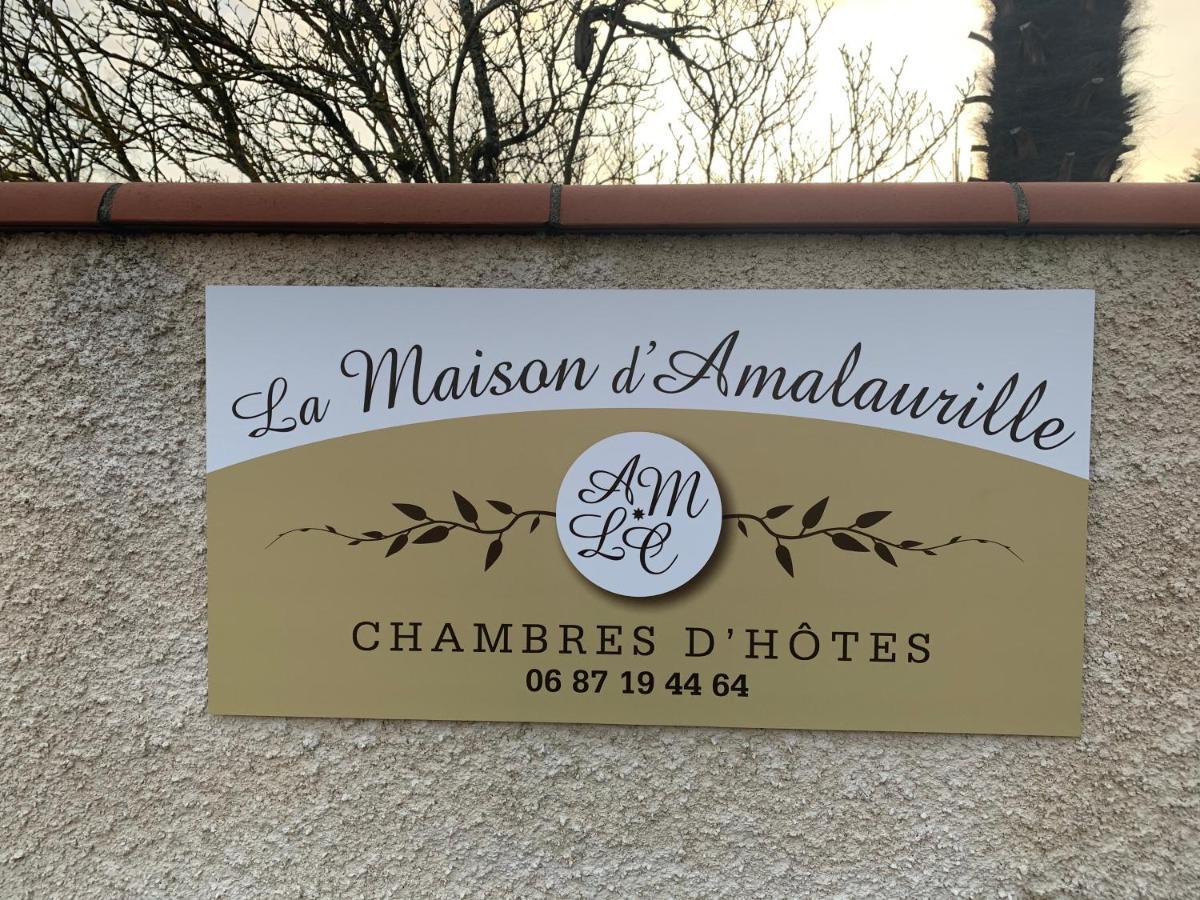 La Maison D'Amalaurille Saint Gaudens Exterior photo